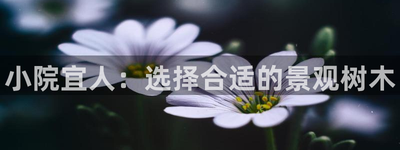 摩根娱乐50186联系