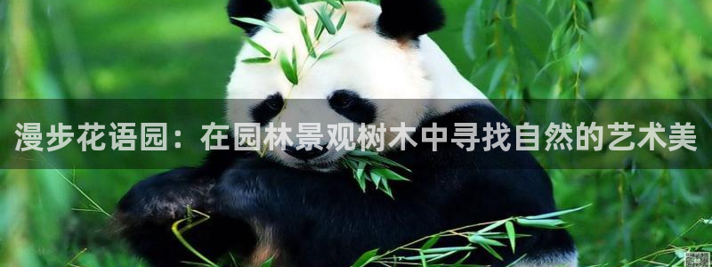 摩根娱乐宝机构代码