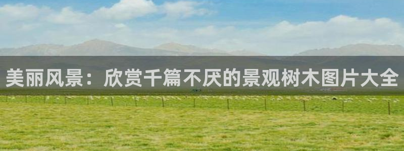 义乌摩根娱乐会所地址