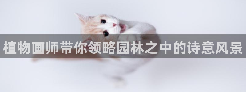 摩根娱乐宝是什么