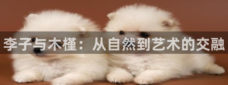 摩根娱乐是骗局吗?