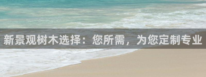 摩根士丹利凯撒娱乐