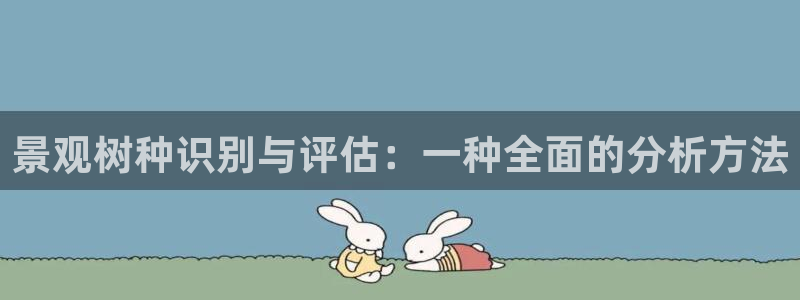 摩根娱乐 实c力77310