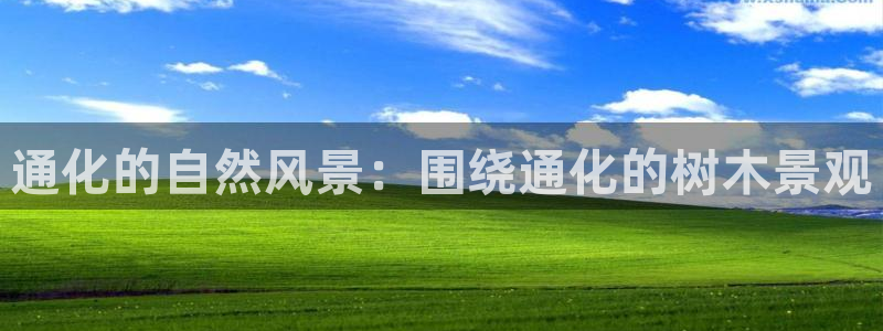 摩根娱乐_ c招a商77130