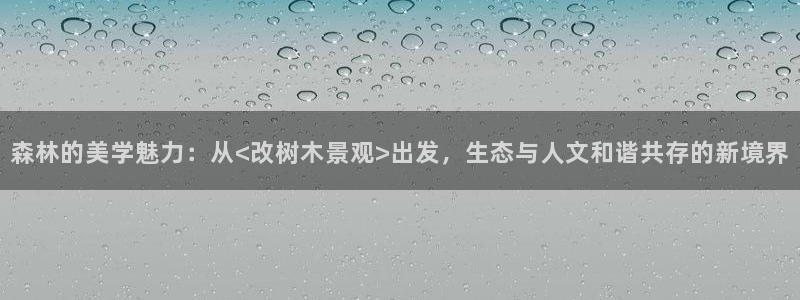 摩根娱乐宝怎么赚钱