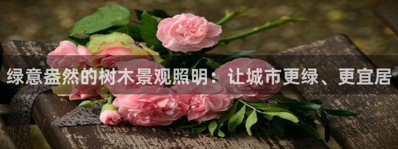 摩根 娱乐宝诈骗：绿意盎然的树木景观照明：让城市更绿、更宜居
