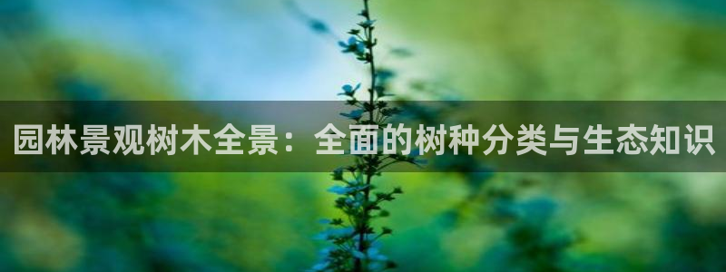 摩根娱乐是什么意思