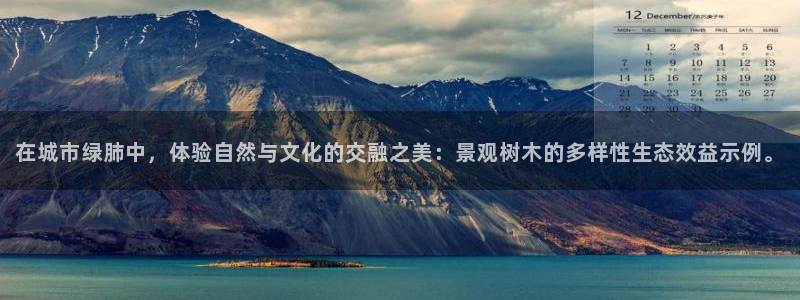 下载摩根国际娱乐宝：在城市绿肺中，体验自然与文化的交融之美：景观树木的多样性生态效益示例。