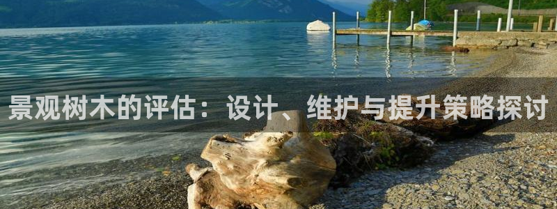 摩根大通黄金娱乐