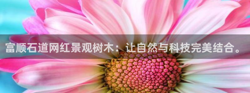 白宫摩根会娱乐会所
