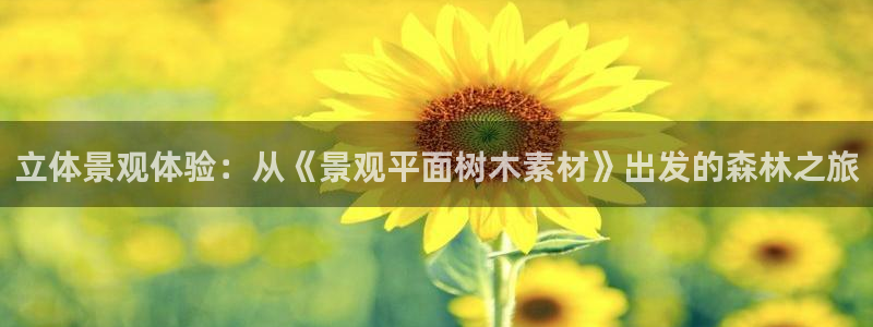 摩根娱乐宝是诈骗吗：立体景观体验：从《景观平面树木素材》出发的森林之旅