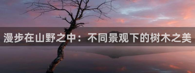 摩根娱乐宝邀请码