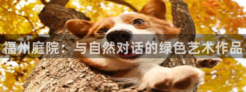 摩根娱乐开户 总s管50015：福州庭院：与自然对话的绿色艺术作品