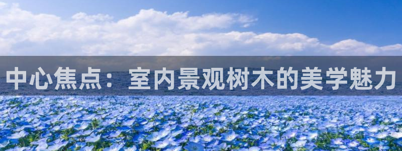 摩根娱乐宝的真假