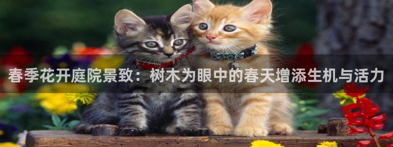摩根娱乐开户 总s管50015