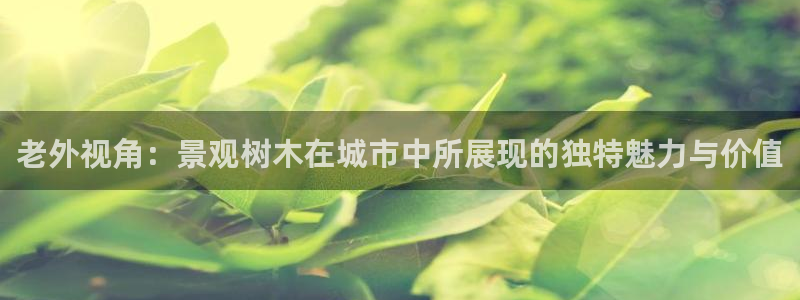 摩根娱乐宝账户