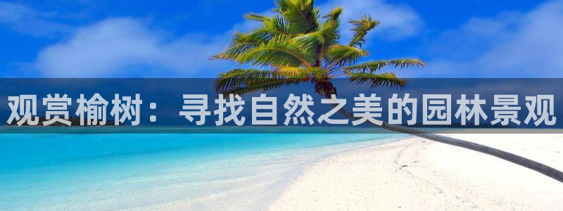 摩根娱乐50186找