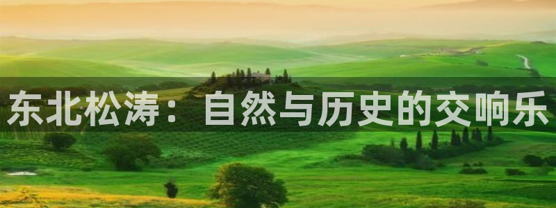 摩根娱乐百家号：东北松涛：自然与历史的交响乐