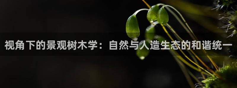 摩根娱乐宝账户：视角下的景观树木学：自然与人造生态的和谐统一