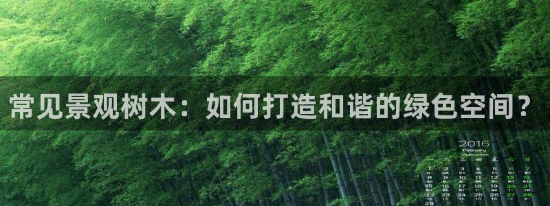 娱乐解说摩根