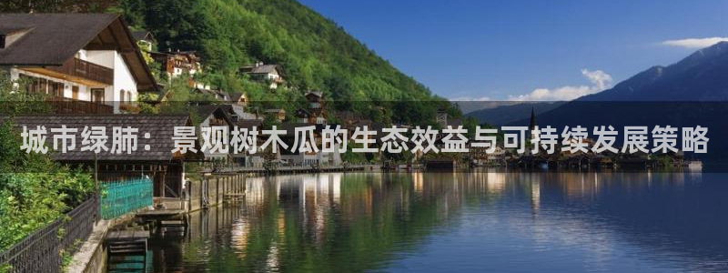 玩摩根娱乐宝亏了三千：城市绿肺：景观树木瓜的生态效益与可持续发展策略