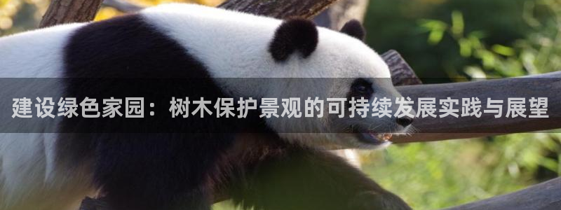 摩根娱乐宝杀单吗