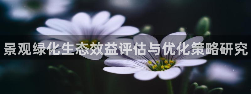 摩根娱乐宝老上不去啊