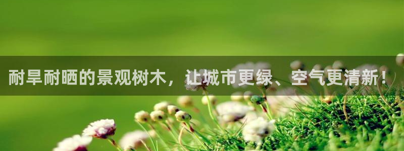 义乌摩根娱乐会所价格