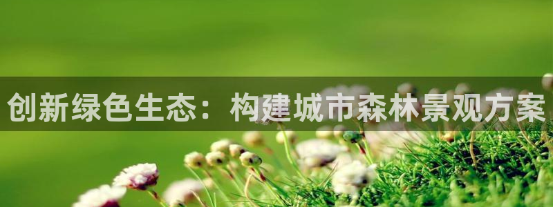 泉州摩根会娱乐有限责任公司管理