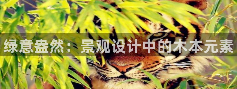 摩根娱乐开户总s管50015 15