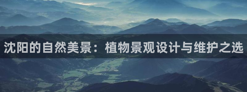 柬埔寨西港摩根娱乐