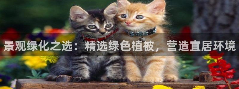 泉州摩根娱乐：景观绿化之选：精选绿色植被，营造宜居环境