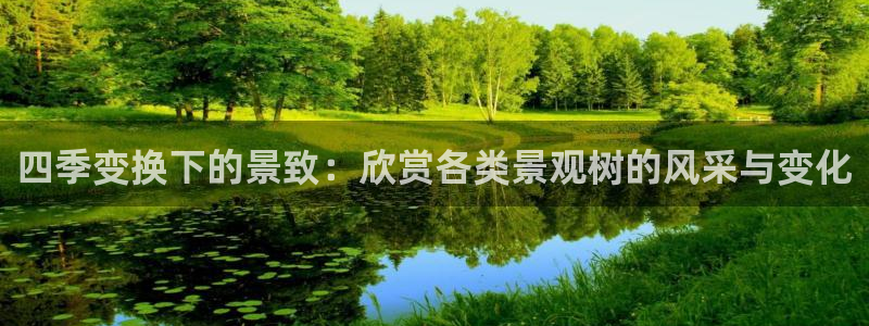 摩根娱乐彩票被骗了：四季变换下的景致：欣赏各类景观树的风采与变化