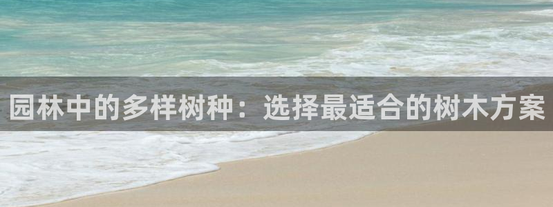 摩根娱乐和摩根国际