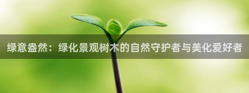 摩根娱乐百家号