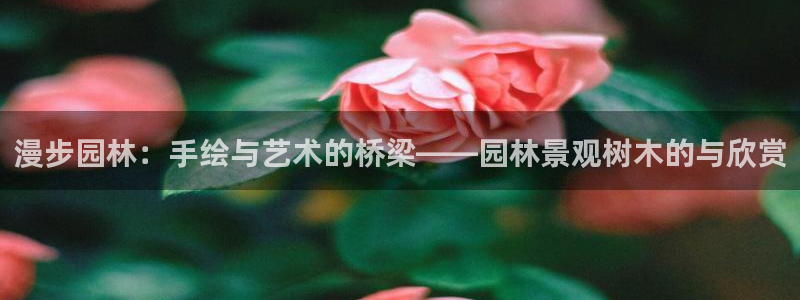 摩根娱乐宝合法吗