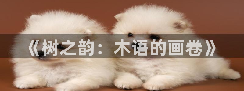 义乌摩根娱乐招聘少爷