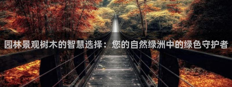 摩根娱乐宝是骗人的的吗