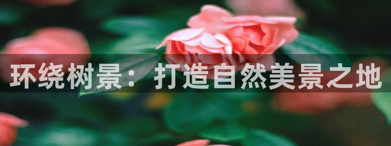 摩根娱乐宝软件下载