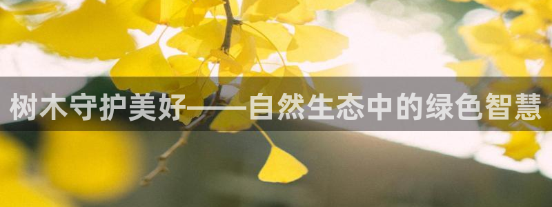 深圳摩根时代娱乐公司