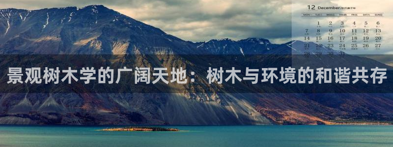 泉州摩根会娱乐保安公司