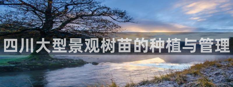 摩根娱乐宝与