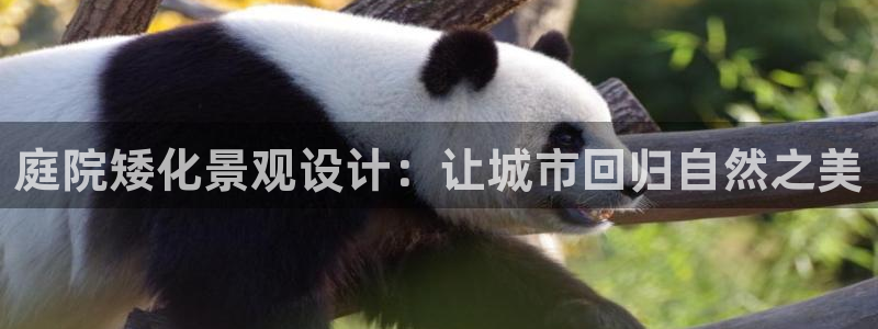 摩根娱乐宝是骗人的的吗：庭院矮化景观设计：让城市回归自然之美