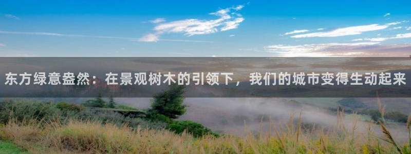 摩根娱乐官网