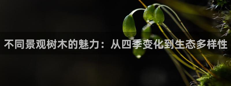 摩根娱乐老lb板50820