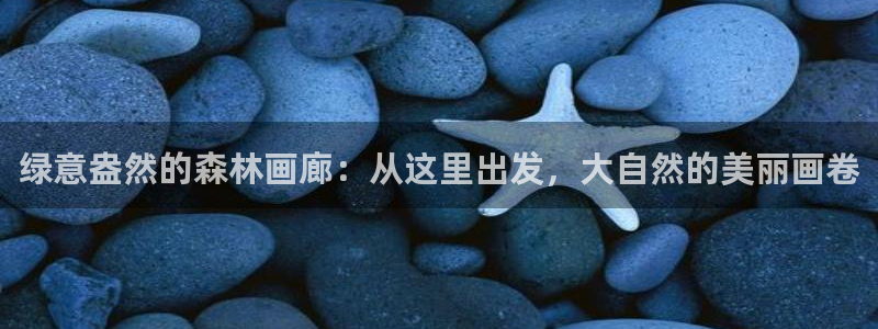 玩摩根娱乐宝亏了三千