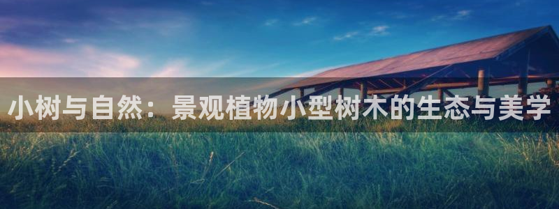 摩根娱乐宝秒单