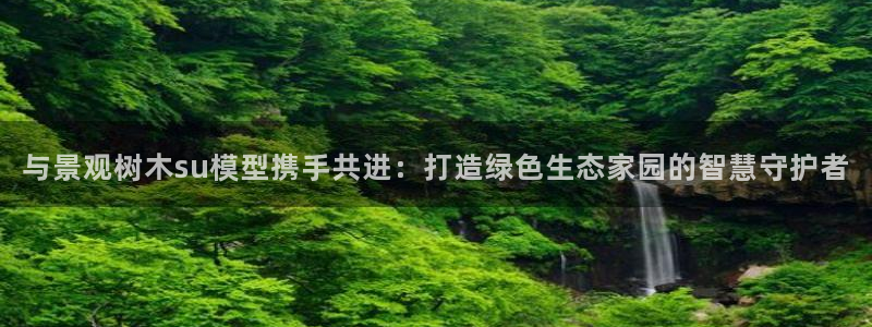 摩根娱乐创始人