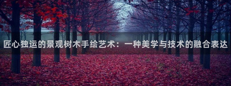 泉州摩根会娱乐有限责任公司管理