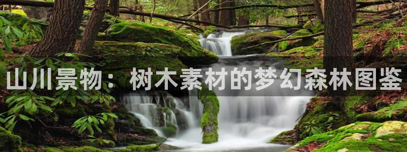 摩根娱乐宝是真的吗